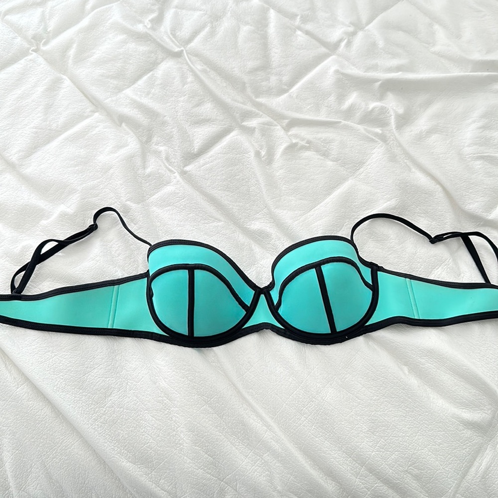 Triangl Swimsuit Top